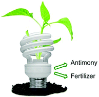 Antimony recovery from the halophosphate fraction in lamp phosphor ...