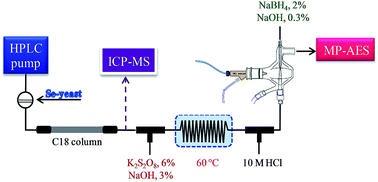 Determination Of Semet And Se Iv In Biofortified Yeast By Ion Pair Reversed Phase Liquid Chromatography Hydride Generation Microwave Induced Nitrogen Plasma Atomic Emission Spectrometry Hplc Hg Mp Aes Journal Of Analytical Atomic Spectrometry Rsc