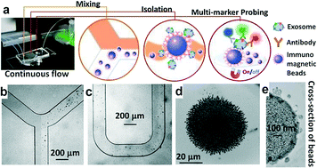 A microfluidic ExoSearch chip for multiplexed exosome detection