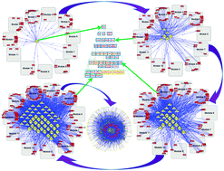 Hierarchical control of coherent gene clusters defines the molecular ...