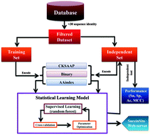 SuccinSite: a computational tool for the prediction of protein ...