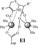 Probing Substrate Binding To The Metal Binding Sites In Metallo B Lactamase L1 During Catalysis Medchemcomm Rsc Publishing