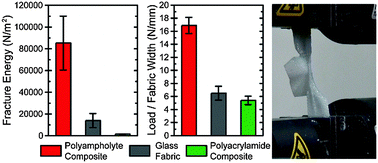 Extremely tough composites from fabric reinforced polyampholyte ...