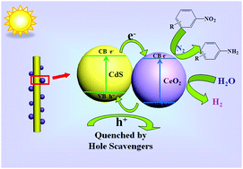 One-dimensional CdS nanowires–CeO2 nanoparticles composites with ...