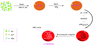 Efficient solid phase extraction of codeine from human urine samples ...