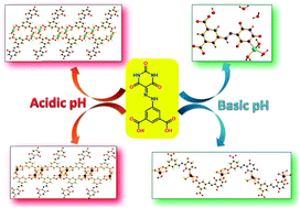 pH dependent synthesis of Zn(ii) and Cd(ii) coordination polymers