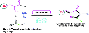 Pcl3 Mediated Synthesis Of Green Cyan Fluorescent Protein Chromophores Using Amino Acids New Journal Of Chemistry Rsc Publishing