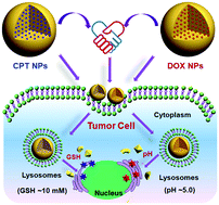 Glutathione- and pH-responsive nonporous silica prodrug nanoparticles for  controlled release and cancer therapy