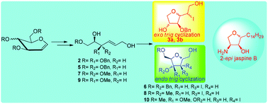 Synthesis and Biological Evaluation of Enantiomerically Pure (R