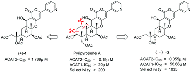 Design and synthesis of simple, yet potent and selective non-ring