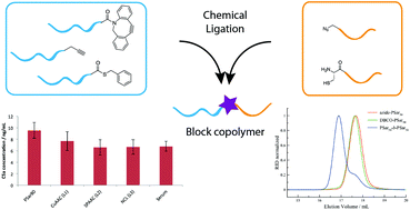 Evaluating Chemical Ligation Techniques For The Synthesis Of Block Copolypeptides Polypeptoids And Block Copolypept O Ides A Comparative Study Polymer Chemistry Rsc Publishing