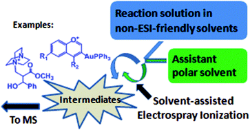 The remarkable role of solvent in reaction mechanism studies by ...
