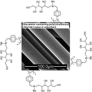 Nmdg n methyl d glucamine store