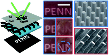 Light Induced Shape Recovery Of Deformed Shape Memory Polymer Micropillar Arrays With Gold Nanorods Rsc Advances Rsc Publishing