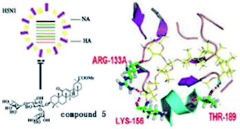 Discovery Of 3 O B Chacotriosyl Oleanane Type Triterpenes As H5n1 Entry Inhibitors Rsc Advances Rsc Publishing