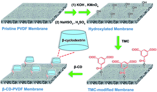 Preparation Of A Novel Anti Fouling B Cyclodextrin Pvdf Membrane Rsc Advances Rsc Publishing