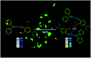 A Colorimetric And Turn On Fluorescent Chemosensor For Selective