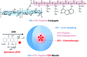 hyaluronate-flt1-peptide-conjugate-epirubicin-micelles-for-theranostic