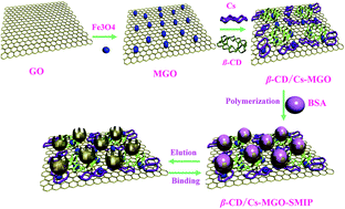 β-Cyclodextrin/chitosan–magnetic graphene oxide–surface molecularly ...