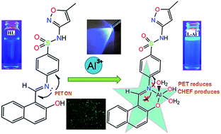 Fluorescence sensing and intracellular imaging of Al3+ ions by using ...