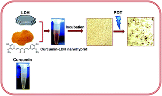 Curcumin intercalated layered double hydroxide nanohybrid as a