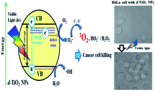 Hydrothermal synthesis of defective TiO2 nanoparticles for long ...