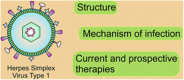 Treatment For Herpes Simplex Virus Type 1