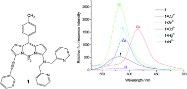 A Ratiometric Fluorescent Bodipy Based Probe For Transition And Heavy Metal Ions Rsc Advances