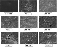 Bio Degradation Of Polyethylene Waste By Simultaneous Use Of Two Bacteria Bacillus Licheniformis For Production Of Bio Surfactant And Lysinibacillus Fusiformis For Bio Degradation Rsc Advances Rsc Publishing