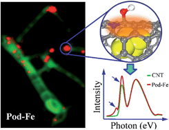 Visualizing electronic interactions between iron and carbon by X-ray ...