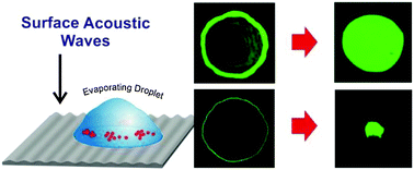 Acoustic suppression of the coffee-ring effect - Soft Matter (RSC  Publishing)