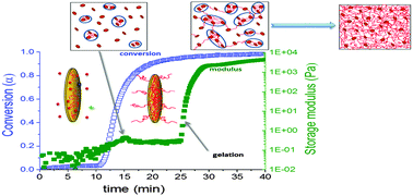 Gelation Mechanism of Poly(N-isopropylacrylamide)−Clay Nanocomposite Gels