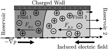 Streaming Potential Modulated Capillary Filling Dynamics Of Immiscible Fluids Soft Matter Rsc Publishing