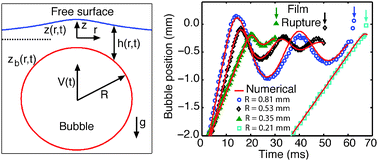 The impact and bounce of air bubbles at a flat fluid interface - Soft Matter (RSC Publishing)