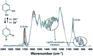 Spectroelectrochemical Investigation Of Redox States In A Polypyrrole Lignin Composite Electrode Material Journal Of Materials Chemistry A Rsc Publishing