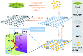 MoS2 quantum dot decorated RGO: a designed electrocatalyst with high ...