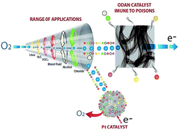 The intriguing poison tolerance of non-precious metal oxygen reduction ...