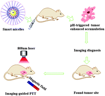 A highly effective in vivo photothermal nanoplatform with dual imaging ...