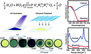 The fast and reversible intrinsic photochromic response of hydrated ...
