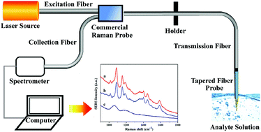 A highly reproducible and sensitive fiber SERS probe fabricated by direct  synthesis of closely packed AgNPs on the silanized fiber taper - Analyst  (RSC Publishing)