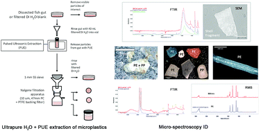 Novel Method For The Extraction And Identification Of - 