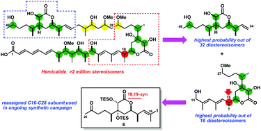 Toward the stereochemical assignment and synthesis of hemicalide