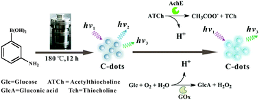 Multi Doped Carbon Dots With Ratiometric Ph Sensing Properties For Monitoring Enzyme Catalytic Reactions Chemical Communications Rsc Publishing
