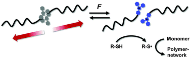 Stress-induced colouration and crosslinking of polymeric materials by ...