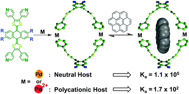 Neutral versus polycationic coordination cages: a comparison regarding ...