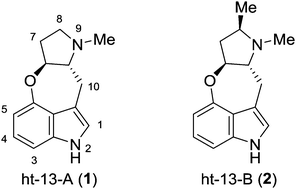 A Concise Gram Scale Synthesis Of Ht 13 A Via A Rhodium Catalyzed Intramolecular C H Activation Reaction Chemical Communications Rsc Publishing