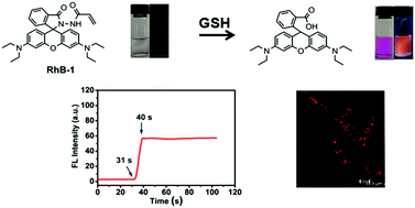 glutathione lysosome A lysosome-targeted fluorescent sensor for the detection of glutathione in  cells with an extremely fast response