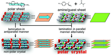 Hierarchical construction of SHG-active polar crystals by