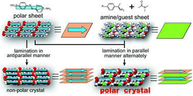 Hierarchical construction of SHG-active polar crystals by using  multi-component crystals - Chemical Communications (RSC Publishing)
