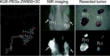 Psma Targeted Contrast Agents For Intraoperative Imaging Of Prostate Cancer Chemical Communications Rsc Publishing